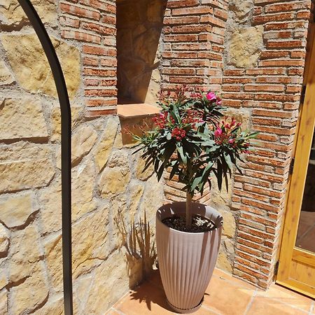 Casa Rural Del Pantano 4 Estrellas Buenache de Alarcon المظهر الخارجي الصورة